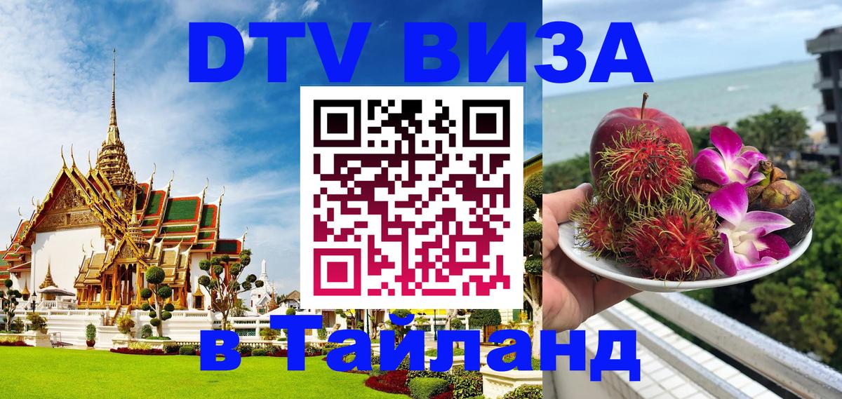 Оформление DTV визы под ключ: стоимость и тарифы, только загранпаспорт - Димитровград  19.11.2025 